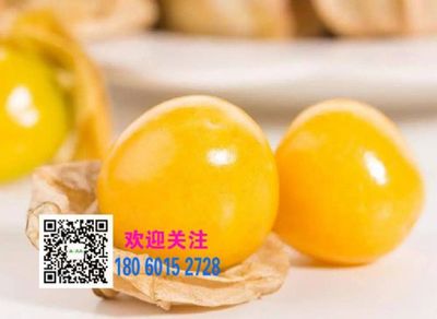 姑娘果 郑州姑娘果 黄菇果苗 种子 苗木性价比* 山瓜瓜-首商网