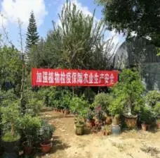 如何办理农业植物及其产品调运植物检疫证书