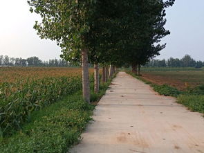 长治山东民泰土地咨询 种子苗木产业的战略伙伴